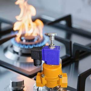 Kép an toàn tự động shut-off Propane van an ninh & bảo vệ sản phẩm - Product Image 1