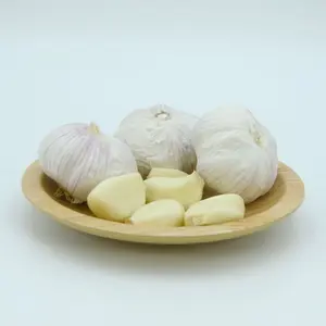 Quality Fresh White Garlic Supplier Wholesale Low-cost Bulk Garlic Best Vegetable Exporters