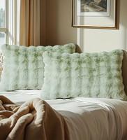 Housse de coussin décorative en peluche bulle de couleur unie, coussin moelleux pour canapé, chambre et décoration intérieure