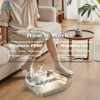 Personnalisation OEM/ODM du dispositif de thérapie bio-énergétique Olylife P90 P100 Terahertz iTera Care