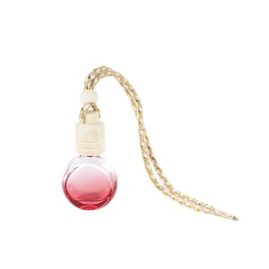 Bouteille diffuseur de parfum pour voiture en verre vide, plate, ronde et décorative, avec bouchon à vis et corde de suspension - Product Image 2