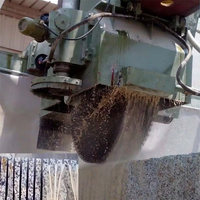 Machine à découper le granit automatique multi-scie verticale et horizontale pour blocs de granit