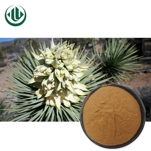 中国工場溶剤抽出プラント液体ユッカスキディゲラ粉末エキス - Product Image 4