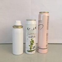 Vente en gros Aérosol en métal aluminium en fer blanc avec pulvérisateur et valve pour déodorant en spray