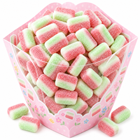 Bonbons Gélifiés Pastèque Saveur Fruitée Acidulée Douce Halal Vente en Gros Personnalisée OEM Marque Privée TIK TOK En Vrac