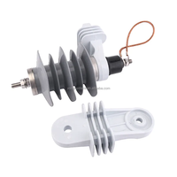 Parafoudre polymère (oxyde métallique) 10 kA pour systèmes de distribution d'énergie et lignes de transmission extérieures HY10W-15