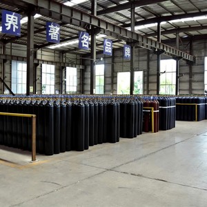 Bombola di Azoto ad Alta Purezza 99,99% per Uso Elettronico, 50L 200Bar, per Semiconduttori e Laboratori - Product Image 5