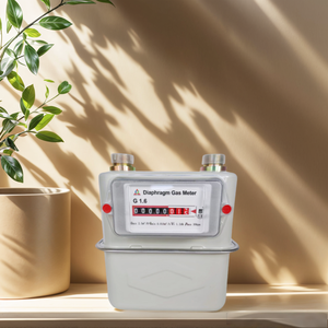 เครื่องวัดก๊าซแบบไดอะแฟรมเชิงกลความแม่นยำสูง ZHONGYI G2.5 ขนาด 0.025-4 ลูกบาศก์เมตร/ชั่วโมง สำหรับใช้ในครัวเรือน - Product Image 1