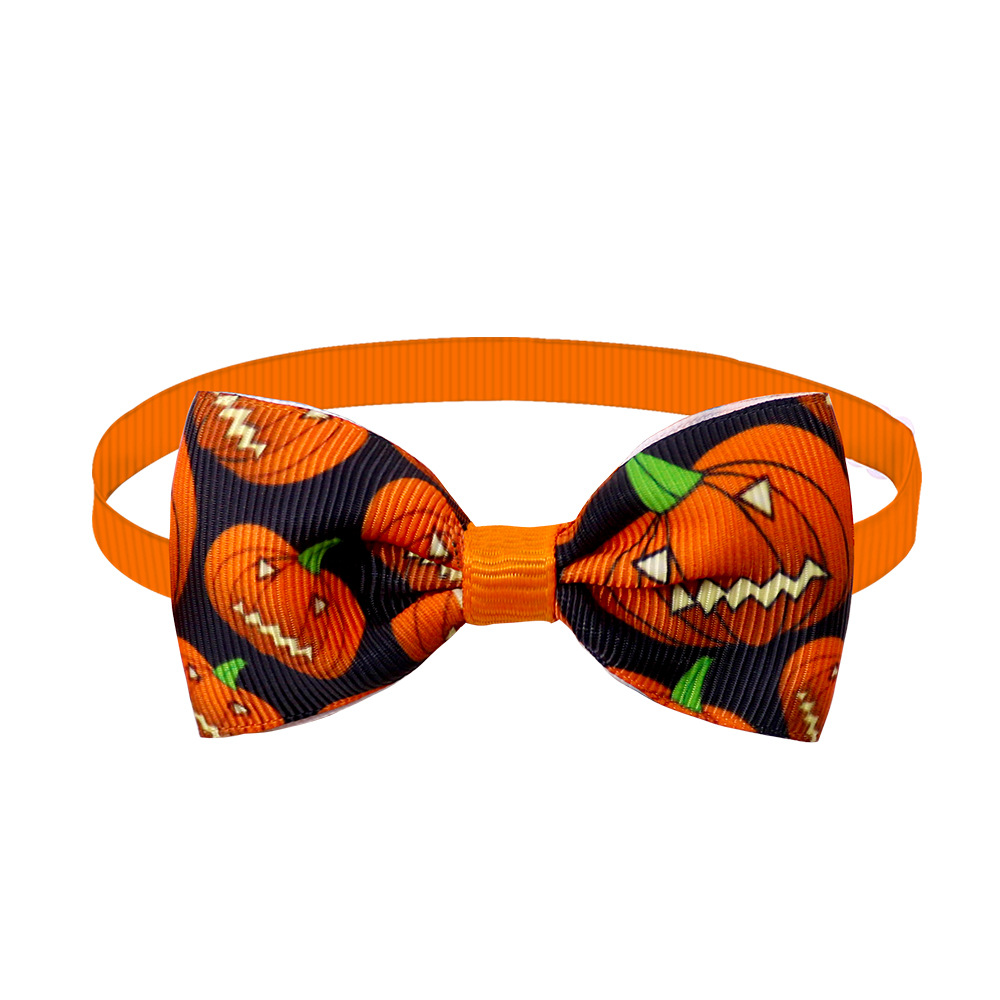 Bt121-a black background pumpkin head