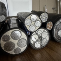 Kabel Tegangan Tinggi/Sedang/Rendah Full Range RVS YJV/YJV22 BVR Aluminium XLPE Berinsulasi Mineral Tahan Api Langsung dari Pabrik
