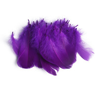 Plume d'oie naturelle pour artisanat artistique bricolage stylo aile coiffure Costume chapeau accessoire de cheveux carnaval fête mariage maison décor de noël
