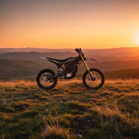 Moto électrique Surron Ultra Bee 2026 pas chère, 24,5 kW, moto tout-terrain sportive électrique pour adultes, Surron Ultrabee