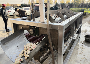 <span class=keywords><strong>Machine</strong></span> à peler le manioc à 98 % de rendement, équipée d'un système de pulvérisation, éplucheur de tapioca en Nigéria - Product Image 4