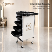 Chariot de Salon Mobile Moderne à 4 Roues, Réglable, en Plastique et Métal, avec Étagères de Rangement Multi-Niveaux, pour Salon de Coiffure, Permanente et Coloration Professionnelle