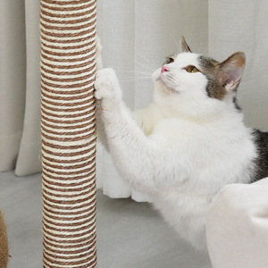 Coconut Tree <b>Cat</b> <b>Scratching</b> <b>Post</b> Sisal 1 Level Durable Plant Pattern <b>Cat</b> Trees & Scratcher - Product Image 3
