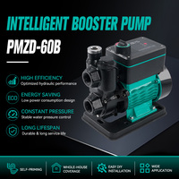 Pompa Booster Rumah Tangga Otomatis Penuh Tekanan Tinggi Harga Pabrik dengan Saklar Pengontrol Tekanan Pompa Vane