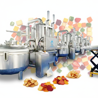 Automatische vacuümfriteuse voor fruit- en groentesnacks, productie van fruitchips, 380V, capaciteit 100kg/uur