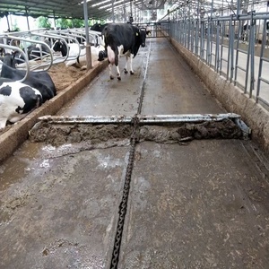 Hệ Thống Làm Sạch Phân Tự Động Máy Cạo Phân Cho Trang Trại - Product Image 2