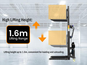 מטען מלגזה 160 ס "מ הרמת גובה גובה 300 ק" ג עומס גובה ק "ג כושר עומס אידיאלי לאירועים ומופעים - Product Image 3