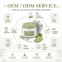 Masque Purifiant au Thé Vert et Boue Volcanique OEM : Nettoyage Profond, Absorption de l'Excès de Sébum, Purification des Pores, Élimination des Points Noirs, Lissage de la Peau, Effet Rafraîchissant