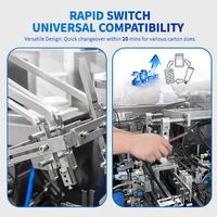 Machine de conditionnement horizontale entièrement automatique pour granulés oraux, poudres probiotiques, multi-sachets dans une boîte, avec scellage et emballage en carton