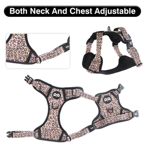 Set di Guinzaglio e Collare per Cani di Alta Qualità in Neoprene e Oxford, Regolabile, Lussuoso, Riflettente, Accessori Sportivi per Animali Domestici - Product Image 4