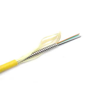 Stainless Steel Tube 6.0 SM 6C G657A2 LSZH PE PVC Anti-Rodent Anti-Bending Flexible Armored Fiber Optic Cable