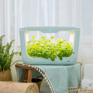 Bacs de germination hydroponiques en plastique, boîte de culture hydroponique d'intérieur, système de fertigation en culture en eau profonde, jardinière intelligente - Product Image 3