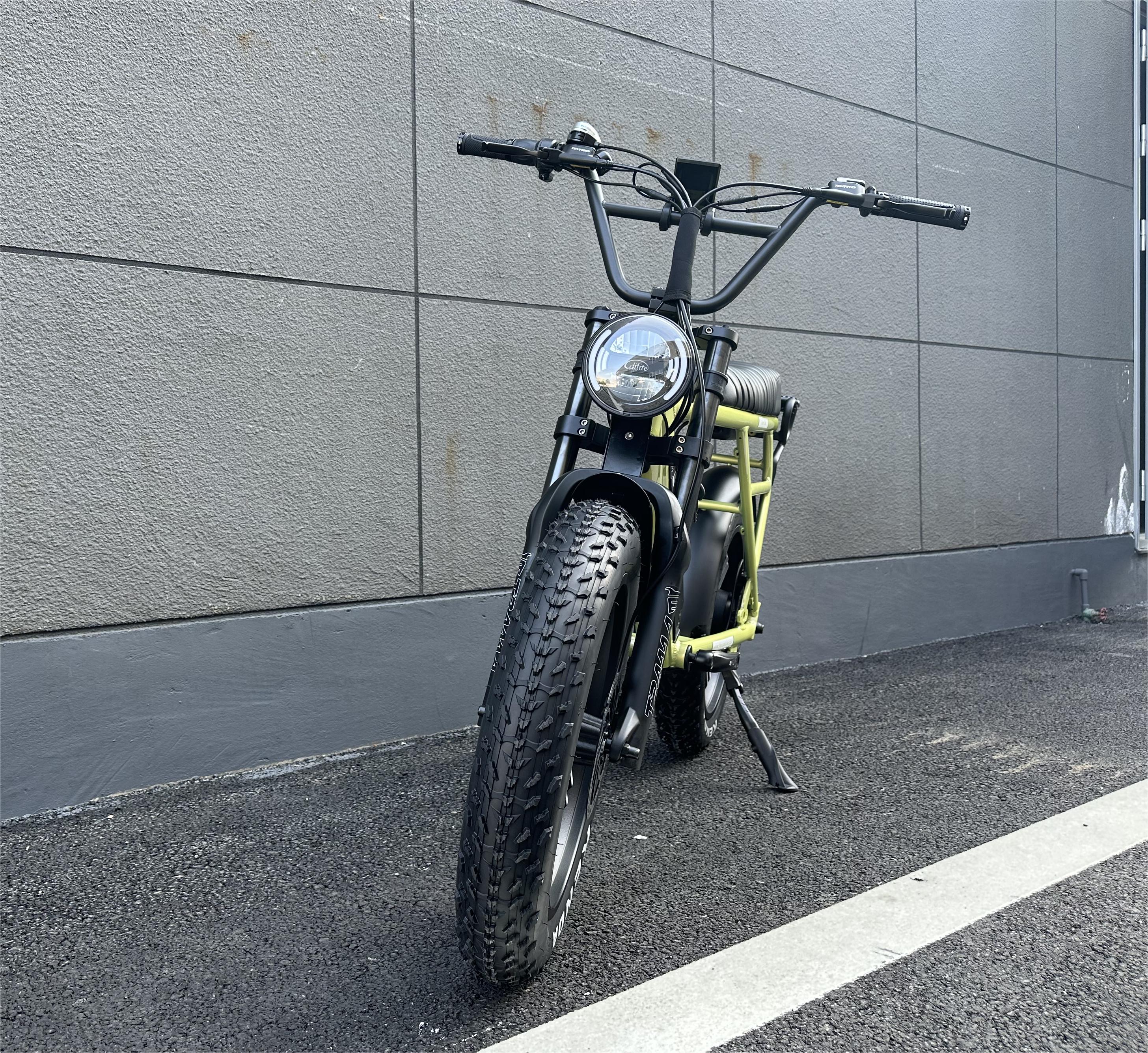 How to Choose the Best Long Tail Cargo Ebike for Your Needs