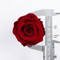 UKIQUEEN Vente en gros de têtes de roses rouges préservées, 8 pièces, roses naturelles éternelles pour la création de bouquets, décoration de mariage