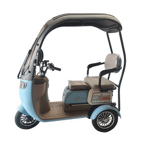 Urban Transportation's Low-Cost Vehicles for Passengers Leisure Carbon Steel Frame 3-Speed Gears Lead-Acid Battery - Product Image 6