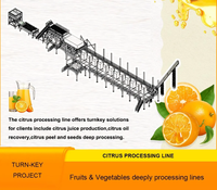 Ligne de traitement complète personnalisée des agrumes pour la fabrication de jus concentré, purée, écorces et huile