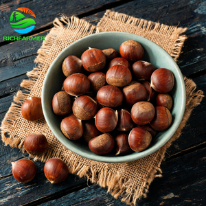 <span class=keywords><strong>Nueces</strong></span> de Castaño Crudas Naturales Frescas de China, Cosecha 2026, a Granel, en Venta - Product Image 3