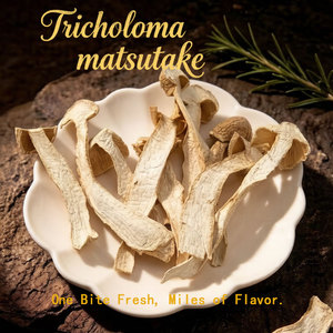 GOODEX <span class=keywords><strong>Tricholoma</strong></span> <span class=keywords><strong>Matsutake</strong></span> Seco, Crudo y Entero, Envío Directo de Fábrica - Product Image 2
