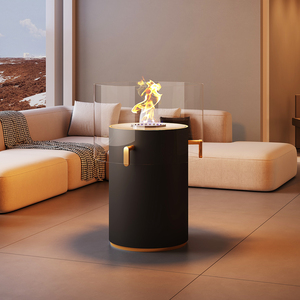 Chimenea de <span class=keywords><strong>Bioetanol</strong></span> Esférica de Lujo, Chimenea de Acero Inoxidable con Llama Real para Decoración de Sala de Estar, Hotel o Villa - Product Image 5