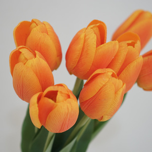 Y-H177 Wholesale High Quality Real Touch <strong>Tulip</strong> Artificial Flowers for Home &amp; Wedding <strong>Table</strong> Decoration - Product Image 6