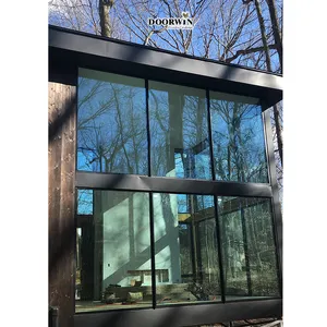 MINIMALISM SERIES Window Ultra Double Glass Aluminum Alloy Fixed Slimline Window Floor To Ceiling Windows