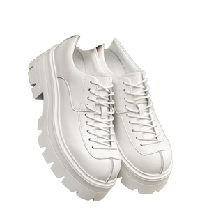 Zapatillas Deportivas Casuales de Otoño 2026, Transpirables, con Aumento de Altura, Estilo para Caminar, Zapatillas Deportivas Gruesas de Alta Calidad para Hombre - Product Image 1