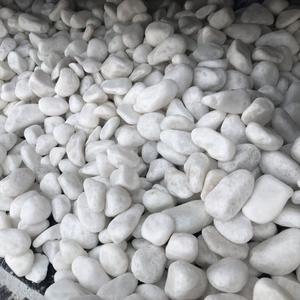 White Round Tumbled Natural Stone <b>Pebbles</b> <b>Polished</b> Cobble Type for Home Garden Decor for Exterior Landscaping - Product Image 1