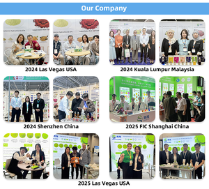 SAIYANG kaynağı Kadsura biber kök özü tozu toptan en iyi fiyat Caulis Piperis Kadsurae özü - Product Image 6