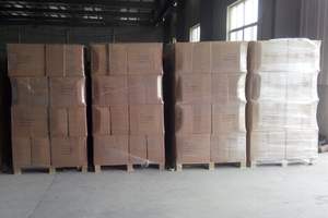 <span class=keywords><strong>Rampe</strong></span> de moto pliable Hanak épaissie, antidérapante, pour chargement sans obstacle et accès en pente - Product Image 6