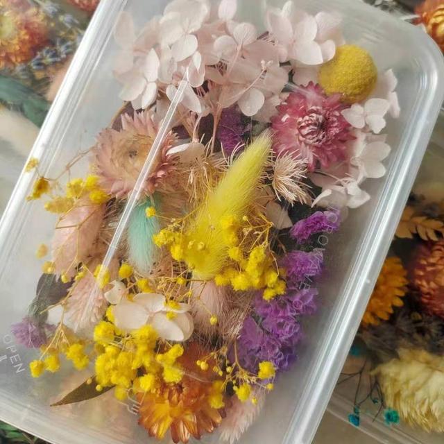 S02148 Wholesale Natural Dry Preserved Flowers Material Package Mini Mix Dried Preserved Plants Flowers for DIY Making Craft