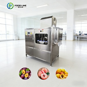 Máquina Eléctrica Automática para Descorazonar Frutas y Verduras, Separa la <span class=keywords><strong>Pulpa</strong></span> <span class=keywords><strong>de</strong></span> las Semillas - Product Image 1