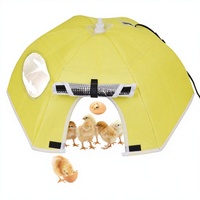 Lampe Chauffante pour Poussins avec Contrôle Automatique de la Température, Boîte Chauffante Incubateur pour Post-Éclosion, Tension Personnalisable, Garantie 3 Mois