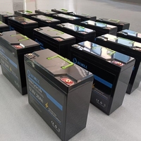 Batterie au lithium LiFePO4 rechargeable à décharge profonde 12,8 V 10 Ah 12 Ah 15 Ah 20 Ah, 4000 cycles, pour solaire, vidéosurveillance, IoT, agriculture
