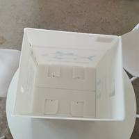 Caisse en carton ondulé MFPP légère, écologique et recyclable pour la chaîne du froid, idéale pour le stockage des fruits et légumes