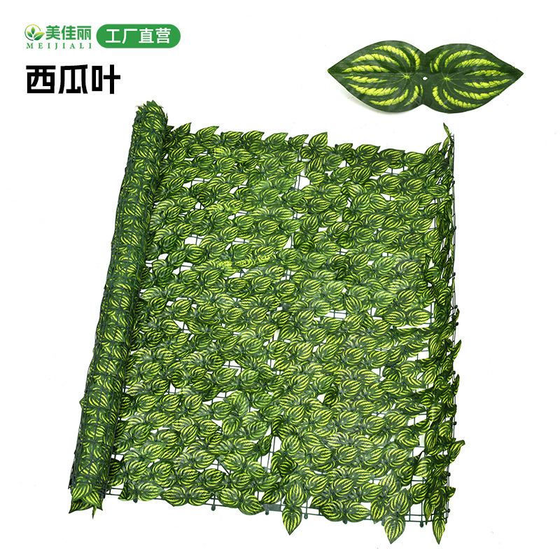 Watermelon leaves