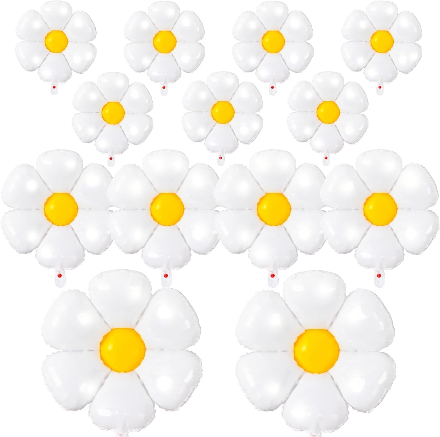 10 pink daisy