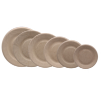 Assiette en papier pour bagasse de tomate, assiettes en papier biodégradables jetables de sécurité alimentaire 100% assiettes en papier compostables de 9 pouces, paquet de 125