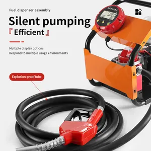 Cavitt điện xách tay Bơm nhiên liệu 12V24V DIESEL bơm nhiên liệu dầu đặt Elip bánh mét và tự niêm phong súng